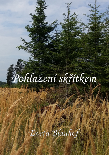 Oblka 6
